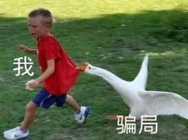 浙江跨晚“抓大鹅”式官宣，创意互动引领潮流