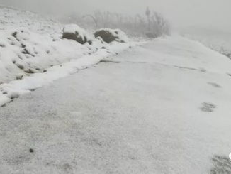 “初雪将至：银装素裹的浪漫序章”