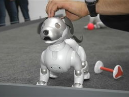 机器狗新纪元：探索多元化就业新方向