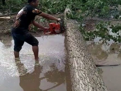 自省之旅：我果然不是当老师的料